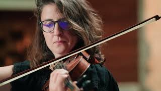 Festival tous les violons du monde